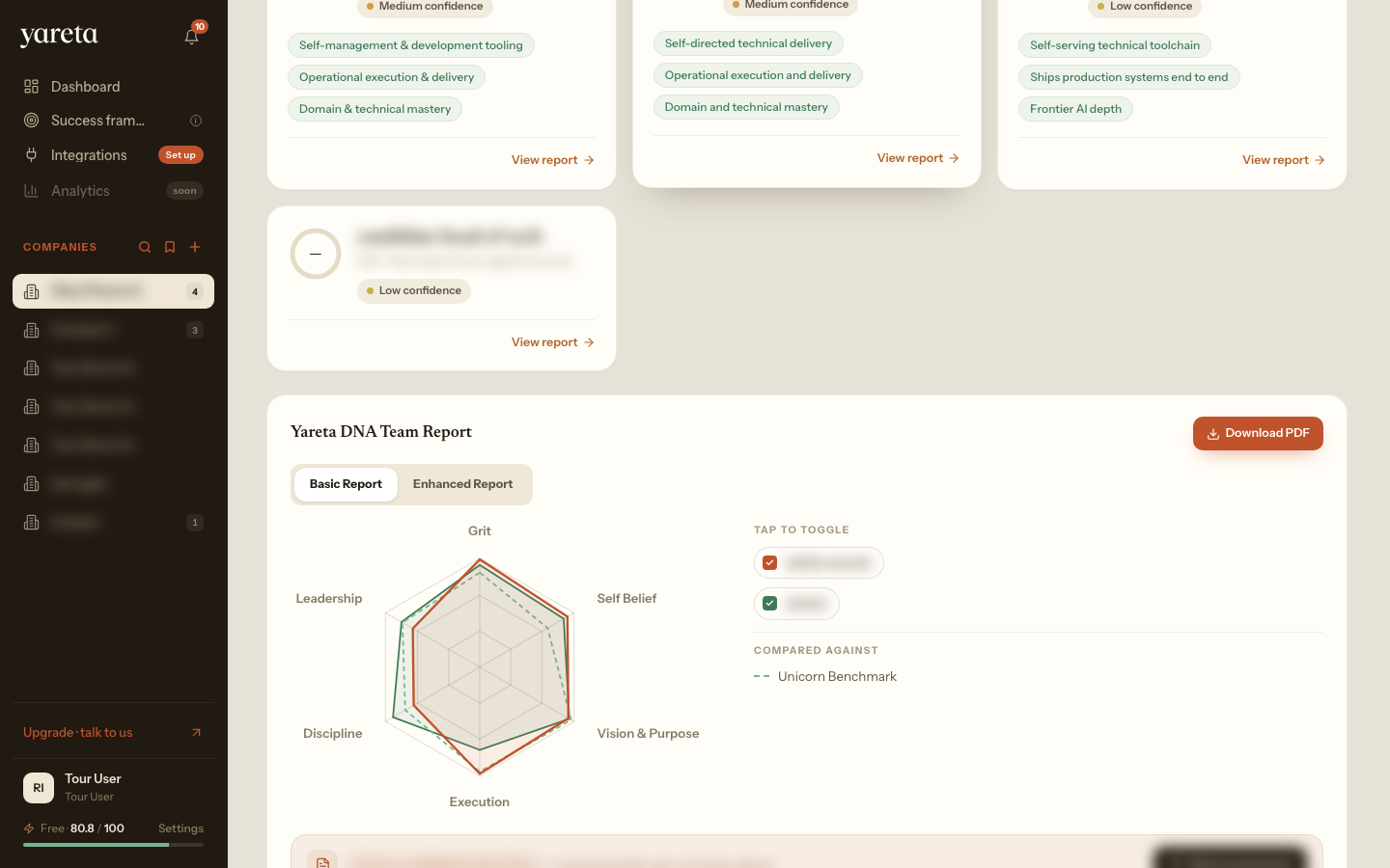 Team overview: team members and the Yareta DNA Team Report for a sample team, personal details anonymised
