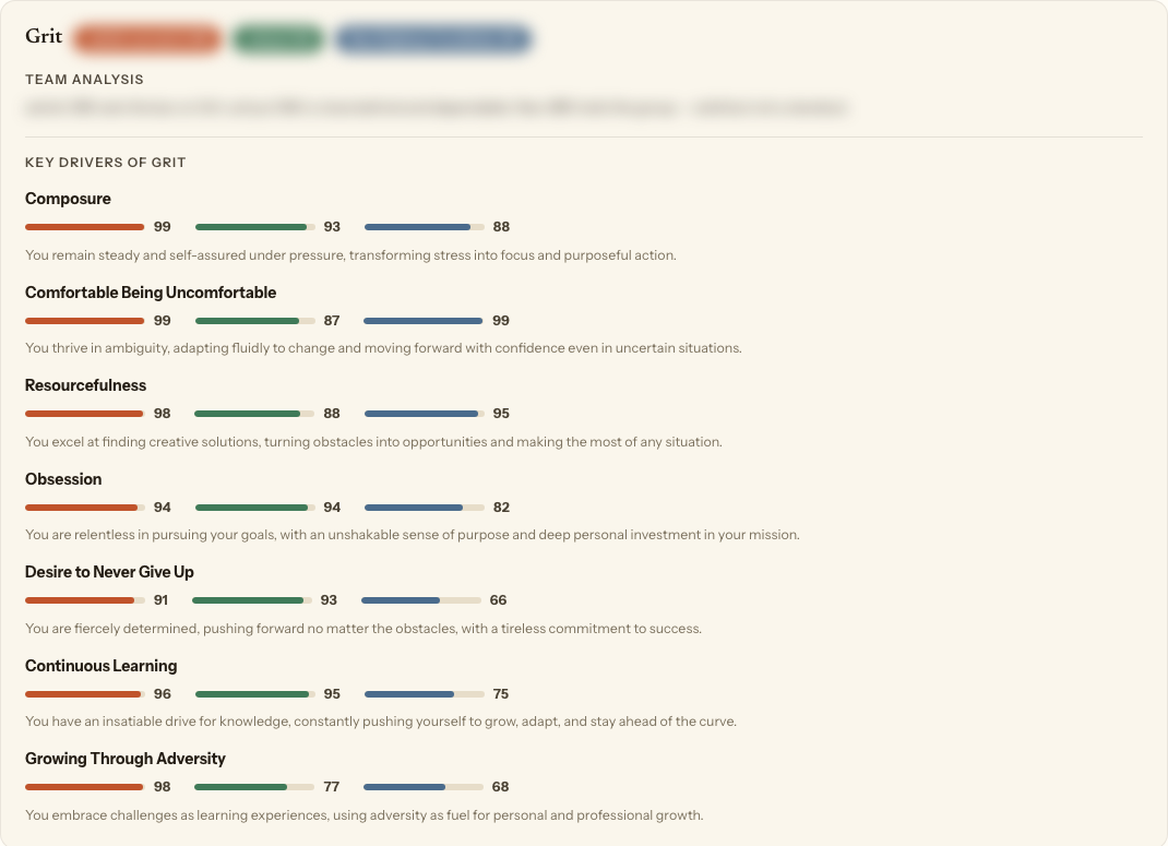 Grit on Team analysis: who carries the domain, and the traits that drive the score. Names are anonymised.