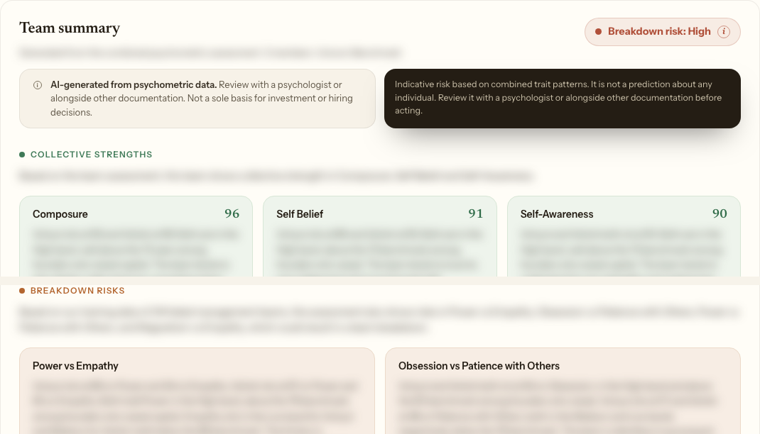 Breakdown risk on the team summary: the risk level, the traits driving it, and the note that this is not a sole basis for a decision. Narrative that can name people is anonymised.